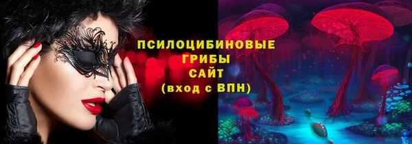 сатива Богородск