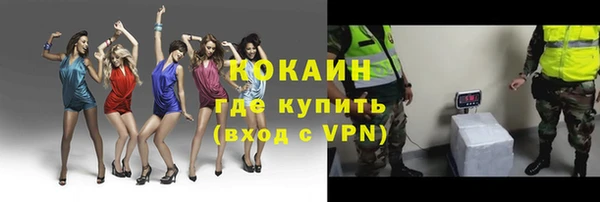 сатива Богородск