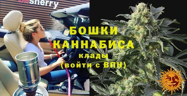 сатива Богородск
