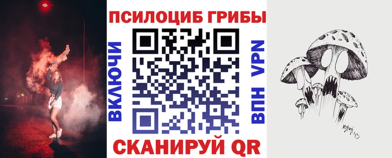 Галлюциногенные грибы прущие грибы  что такое наркотик  Купино 
